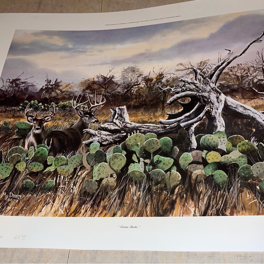 Deer painting. (Cactus bucks by Les McDonald Jr